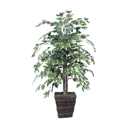 4ft. Artificial Variegated Ficus Bush with Square Willow Basket